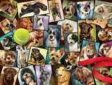 Buffalo Games - Suzanne Sheran - The Best of Friends - 750 Piece Jigsaw Puzzle for Adults -Challenging Puzzle Perfect for Game Nights - Finished Size is 24.00 x 18.00 Buffalo Games
