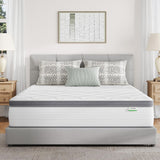 Novilla Twin Mattress for Kids, 10 Inch Twin Mattress Hybrid with Individually Pocket Innerspring, Pressure Relief & Motion Isolation, Medium Firm Feel Novilla