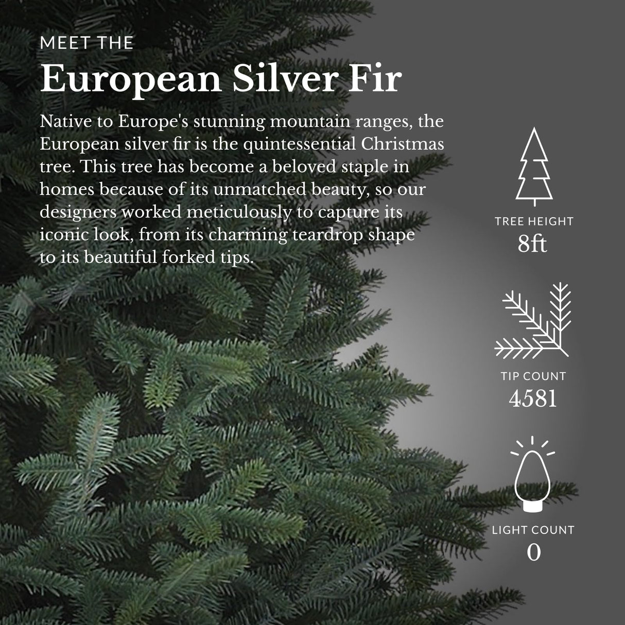 Balsam Hill 8ft Unlit European Silver Fir Artificial Christmas Tree Balsam Hill