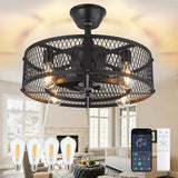 DLLT Caged Ceiling Fan with Light: 20" Farmhouse Fandelier with Light and Remote - Black Rustic Chandelier with Fan for Bedroon Kitchen Living Dining Room DINGLILIGHTING