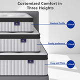 cemtip Queen Mattress, 12 Inch Hybrid Mattress in a Box, Memory Foam and Pocket Springs, Fiberglass Free, Soft and Breathable, Medium Firm Feel cemtip