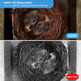 Q-DIRT PRO Bird House with Camera, Smart Birdhouse with Camera Solar Power, 1080p HD WiFi Outdoor Bird Box, Auto Capture Bird Videos & Motion Detection, Nesting Box for Birds (Dark Color, Normal) Q-DIRT PRO