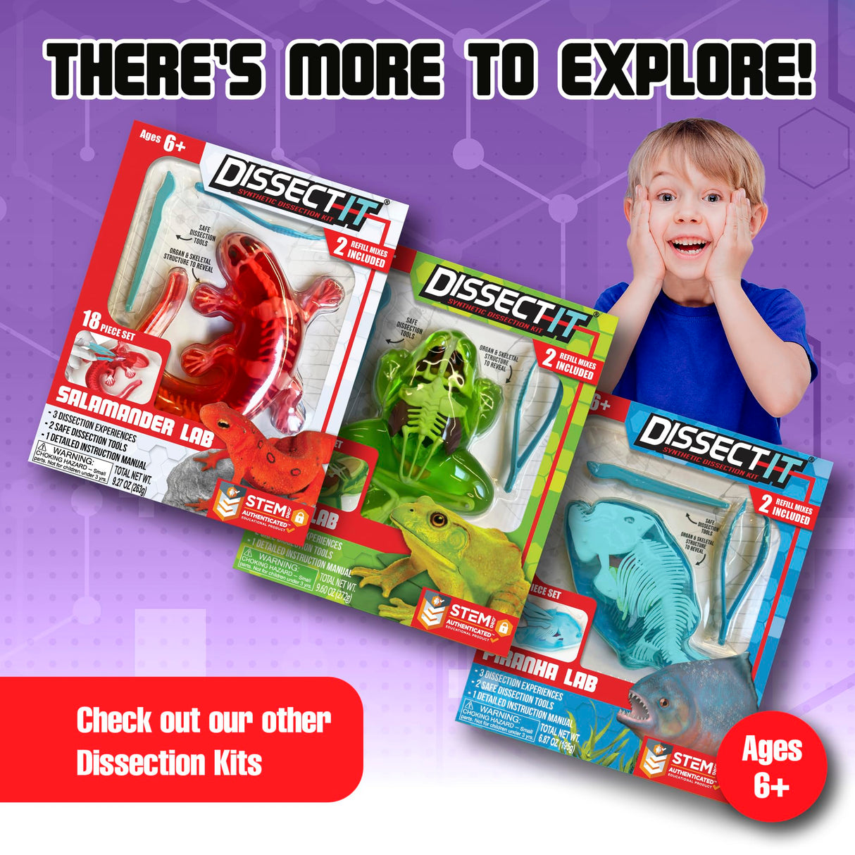 Dissect-It Simulated Synthetic Lab Dissection Toy, STEM Projects for Kids, Animal Science, Biology, and Anatomy Home Learning Kit, Bat Dissect It