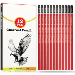 Daerthotk Charcoal Pencils Drawing Set, 12 Pieces Soft, Medium and Hard Black Sketch Charcoal Pencils for Drawing, Sketching, Shading, Blending, Artist Pencils for Beginners & Pro Artists Daerthotk
