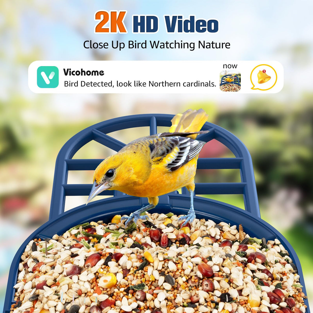PeckCam® Bird Feeder with Camera, 2K HD AI Identify Birds Species, Bird Feeder with Camera Solar Powered, Auto Record Birds Video, Instant Notifications, Ideal Gifts for Family and Bird Lovers PeckCam