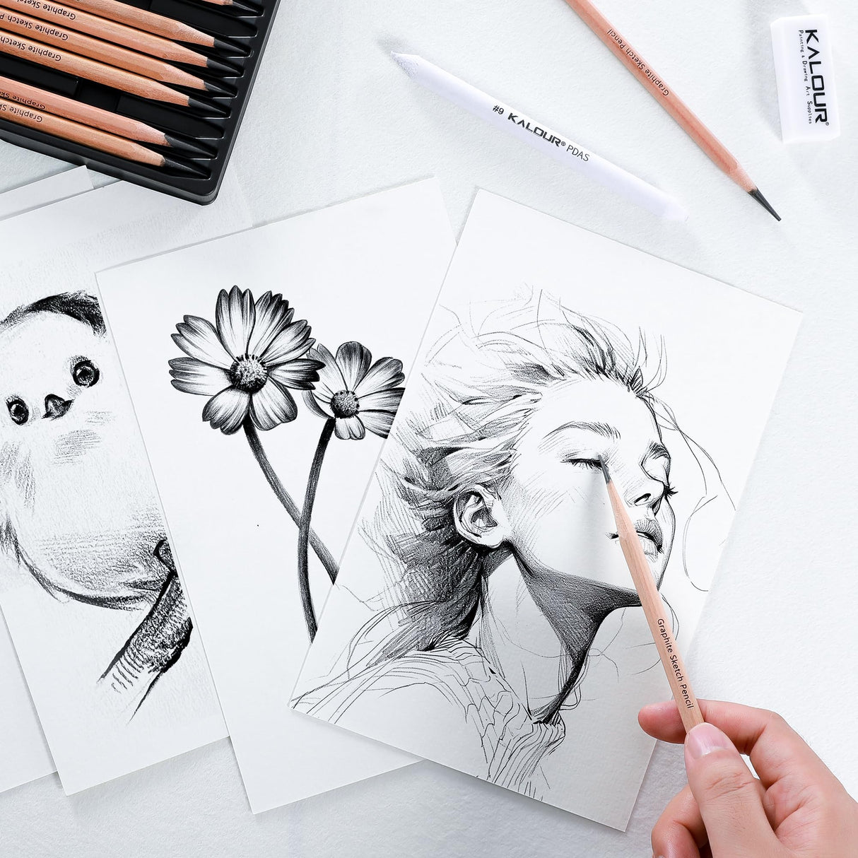 KALOUR 18-Piece Professional Sketch Pencil Set - Includes 5H to 14B Pencils, Vinyl Eraser, Kneaded Eraser,Sharpener and Paper Blending Stump - Ideal for Artists and Beginners KALOUR