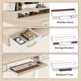 TIQLAB 55 x 28 Inch Height Adjustable Electric Standing Desk with Double Drawers&Keyboard Tray, Stand Up Desk with LED Strips&Monitor Stand, Light Walnut TIQLAB