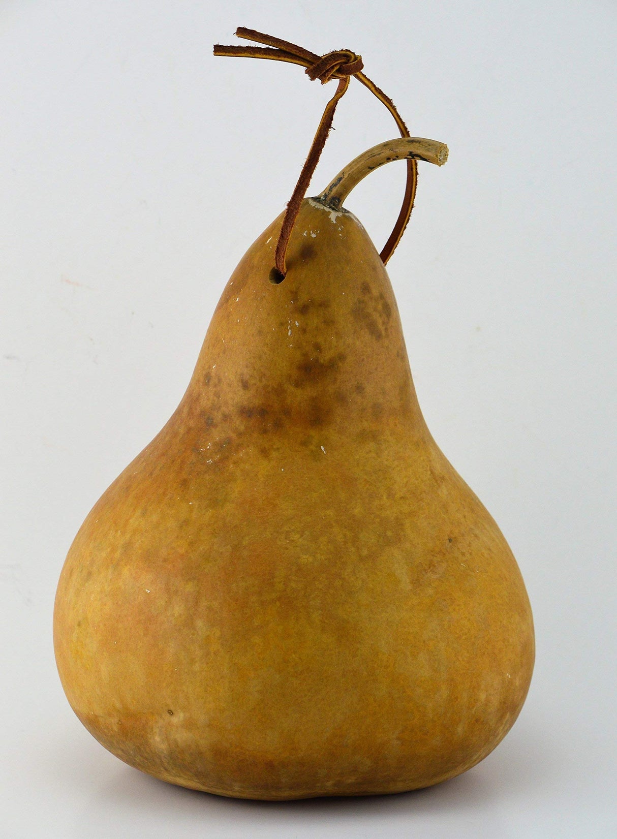 Gourd Birdhouse, Unfinished, Create Your Own Birdhouse Gourdaments