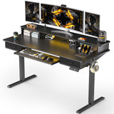 WALKINGDESK 55x24 Inches Electric Standing Desk with Keyboard Tray, Height Adjustable Stand up Desk with 2 Drawers, Ergonomic Sit to Stand Desk with Storage Monitor Stand, Computer Table, Black WALKINGDESK