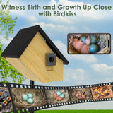 Birdkiss Smart Bird Houses for Outside Solar Powered, 1080P HD Live View Birdhouse with Camera, Perfect Viewing Bird Nesting and Hatching, Ideal Outdoors Bird House for Blue Bird and Cardinal (Black) Birdkiss