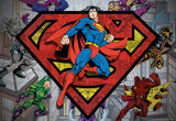 Paper House Productions DC Comics Superman and Villains 1000-piece Jigsaw Puzzle Paper House Productions
