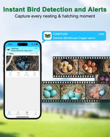 Smart Bird House Camera Solar Powered, 2K HD Wi-Fi Bird Watching Camera for Birdhouse, Auto Detect & Notify, Night Vision, APP Control, Wooden Birdhouse with Camera Inside KinetCam