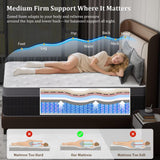 Twin Size Mattress in a Box 14 Inch Memory Foam Hybrid Mattress with Pocketed Springs Medium Firm Support Motion Isolation Edge Support 180 Night Trial Generic