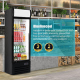 Bluelinecool Commercial Refrigerators Glass Door, 9 Cu.Ft Upright Commercial Beverage Fridge with Front LED Light, Display Refrigerator for Beer, Bar, Drink Bluelinecool