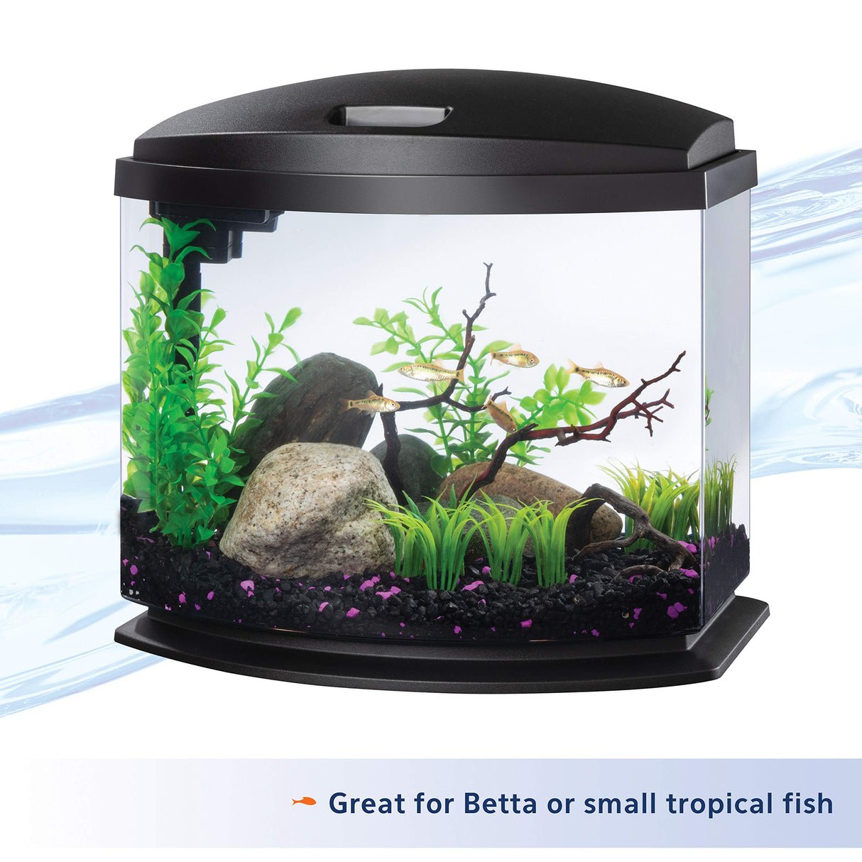 Aqueon LED MiniBow Small Aquarium Fish Tank Kit with SmartClean Technology, Black, 5 Gallon Aqueon