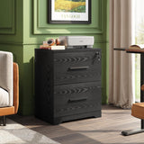 DEVAISE 2-Drawer Wood Lateral File Cabinet with Lock for Office Home, Black DEVAISE