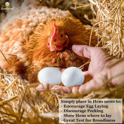 SunGrow Fake Wooden Eggs to Train Birds from Laying in The Nesting Boxes & to Stop from Eating Own Eggs, White Color, 5 Pack Suitable for Chicken and Duck - WoodArtSupply