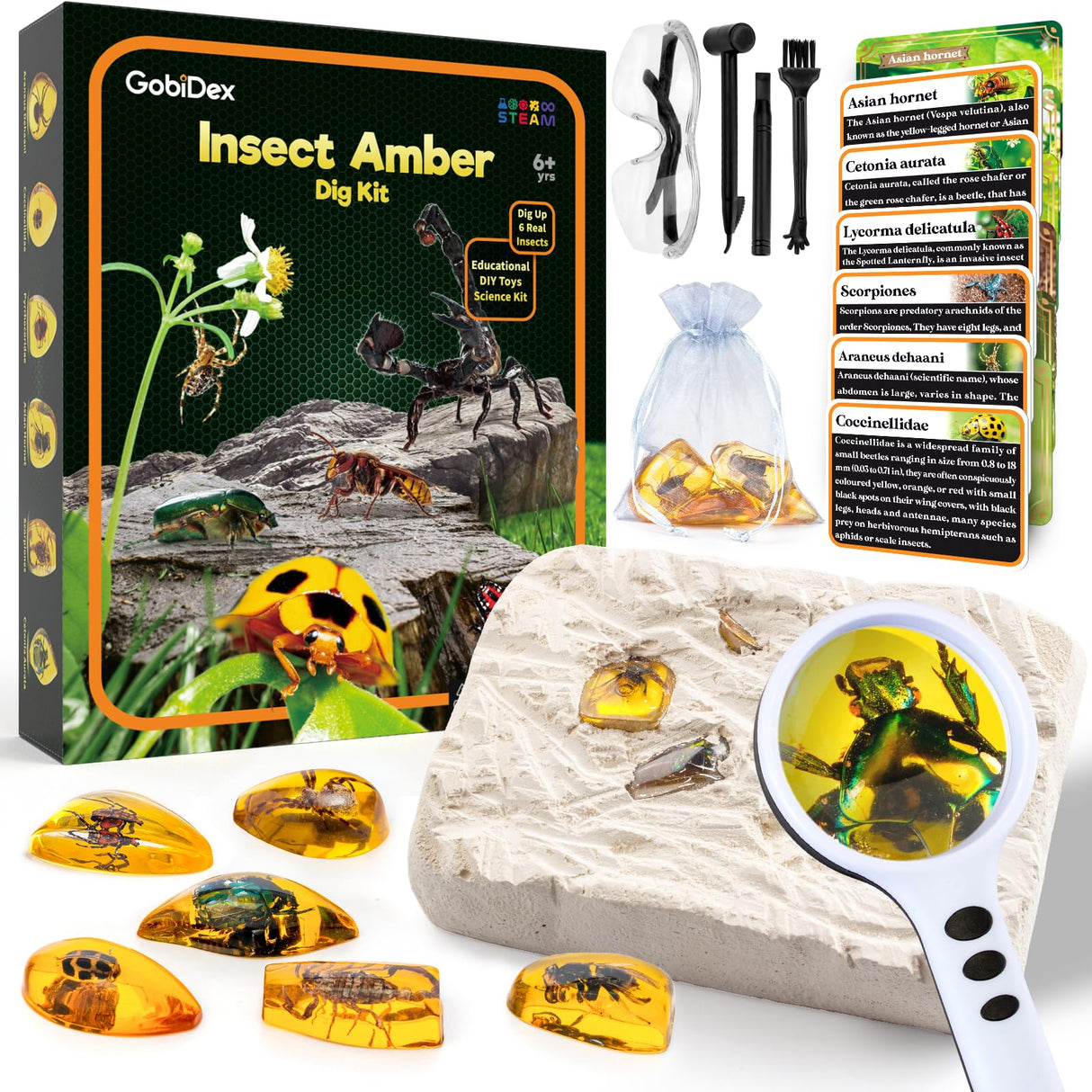 GobiDex Amber Dig Kit-Artificial Insect Resin, Excavate 6 Insects Specimens, STEM Geographic Educational Bugs Toys, Excavation Toys for Fun Bugs Party Favors, Science Kits for Kids Age 6-8 8-12 GobiDex