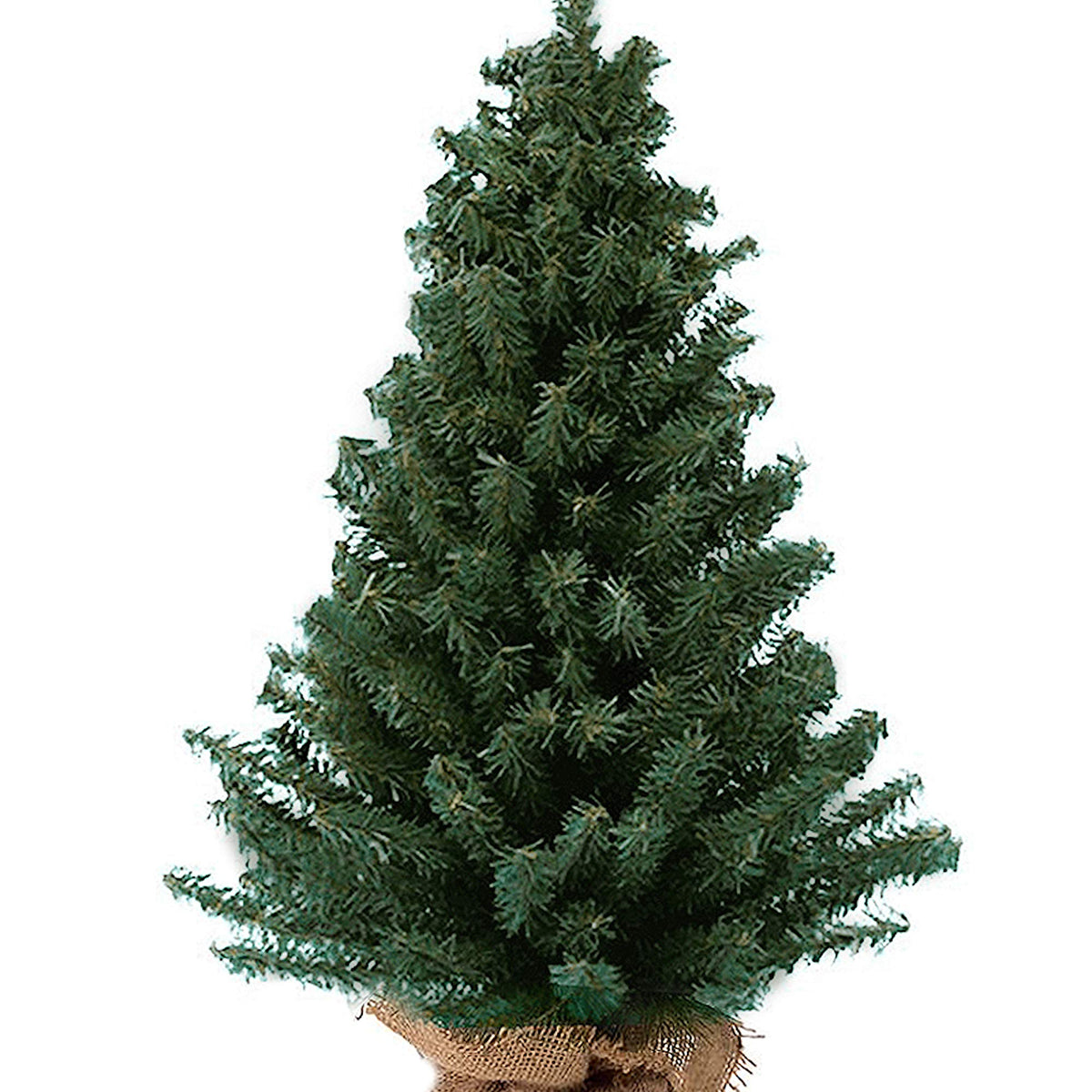 Kurt Adler 12 Miniature Pine Tree – WoodArtSupply
