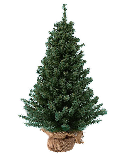 Kurt Adler TR2044 18-Inch Mini Pine Tree