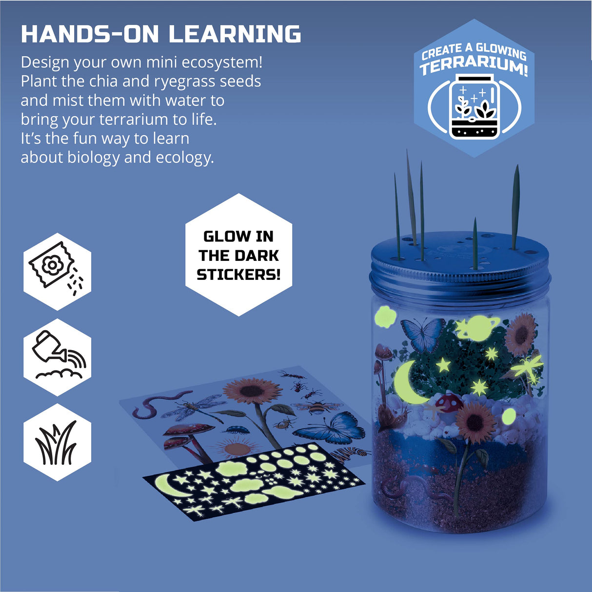 Discovery #MINDBLOWN DIY Terrarium Grow Kit, Fast-Growing Indoor Mini Garden, Create A Living Ecosystem, Includes Sand, Seeds, Potting Mix, Stones and More Discovery Kids