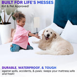 Mattress Encasement Queen (12-16) Inches Deep | Heavy Duty Hotel Grade 100% Waterproof, Breathable, Noiseless, Hypoallergenic 6-Sided 360° Premium Zippered Six-Sided Cover (Machine Washable) Express USA Supplies