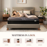 CH CHARME HOUSE 12 Inch Queen Mattress, Bamboo-Charcoal Memory Foam Mattress, Cooling & Pressure Relief, Bed in a Box, Foam Made in USA & CertiPUR-US Certified, 60'x80'x12', Black CH CHARME HOUSE