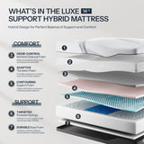 14 Inch Hybrid Mattress Queen Size, Cooling Hybrid Mattress Made in USA, 3-Zone Individual Pocket Spring Mattresses Supportive & Pressure Relief, Lyocell Cover& Bamboo Charcoal Memory Foam Mattress Life Balance