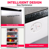 Frigidaire EFRF696-AMZ Upright Freezer 6.5 cu ft Stainless Platinum Design Series, Silver Frigidaire