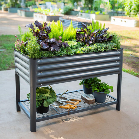 Elevated Raised Garden Bed-V Series, 2' x 4' Garden Beds with Legs & Storage Rack for Patio Porch, 700 Lbs Weight Capacity, Outdoor Planter Boxes for Gardening Herbs Vegetables Flowers, Pearl White Vego garden