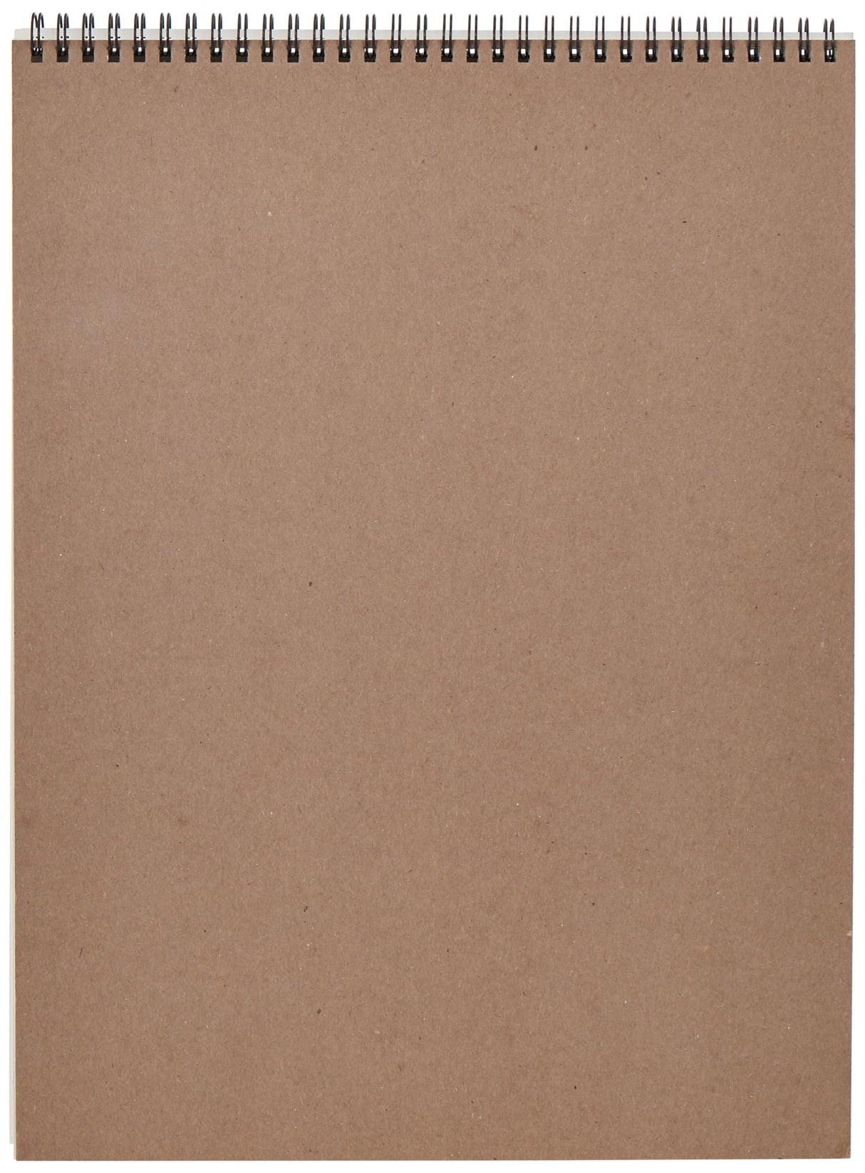 Canson Artist Series Mixed Media Paper, Wirebound Pad, 11x14 inches, 20 Sheets (138lb/224g) - Artist Paper for Adults and Students - Watercolor, Gouache, Graphite, Ink, Pencil, Marker Canson