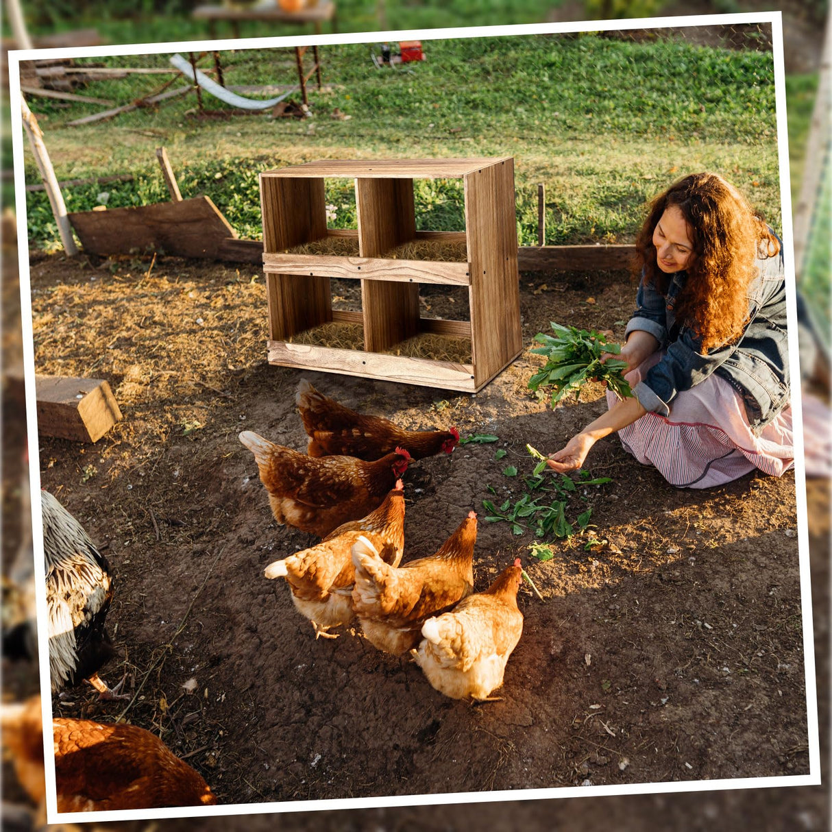 Cinnvoice Chicken Nesting Boxes 4 Compartment Wooden Chicken Laying Boxes Nesting Boxes for Chicken Coop Chicken Laying Eggs Nest Box for Chickens Hens Ducks Poultry Easy Egg Collection Cinnvoice