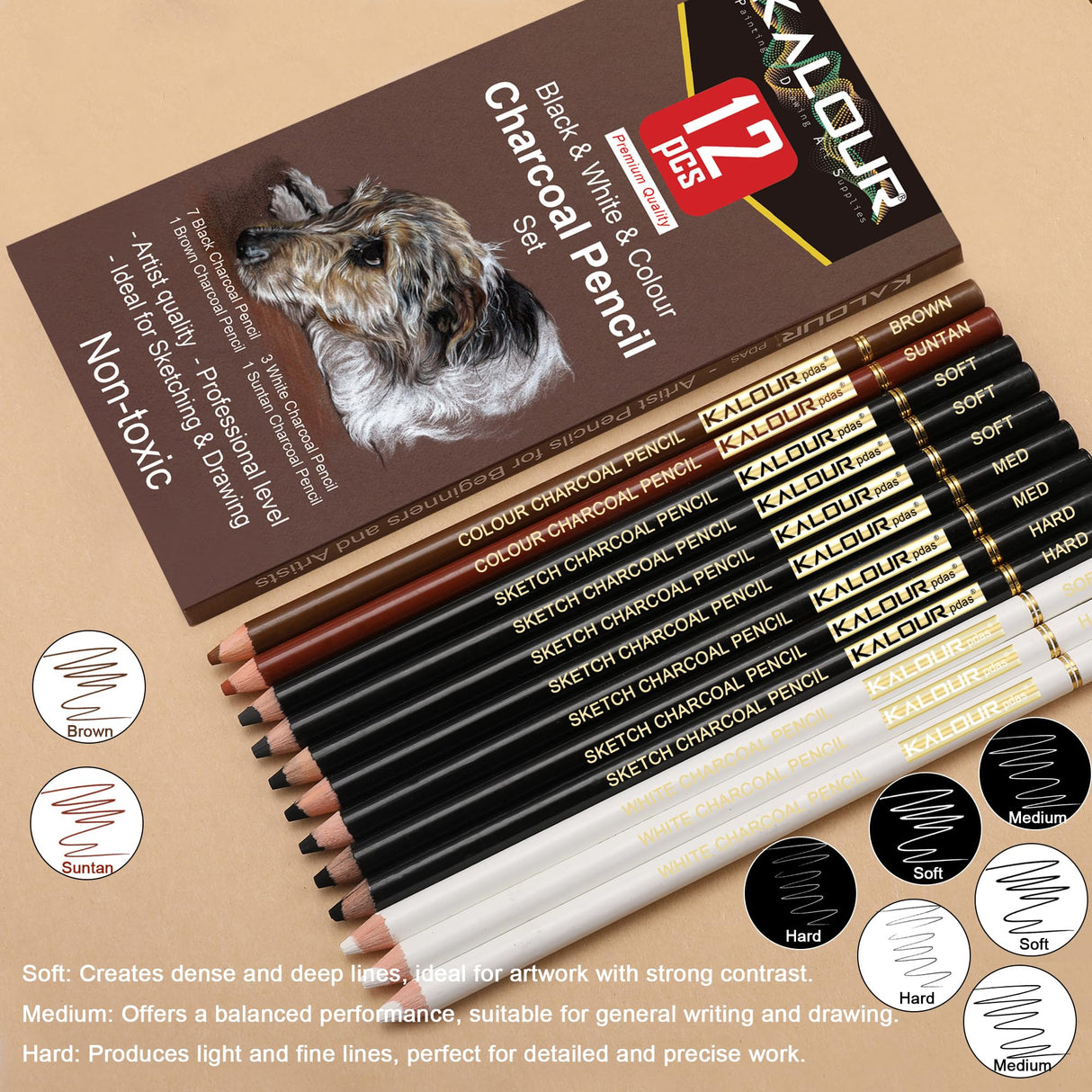 KALOUR Pro Colored Charcoal Drawing Set,12 Pieces Pastel Chalk Pencils for Sketching, Shading, Blending, Portrait, Black White Charcoal for Beginners & Artists KALOUR