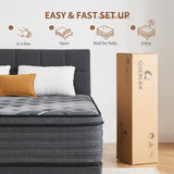 Queblox Twin Mattress, 12 Inch Hybrid Mattress in a Box, Medium Firm, Memory Foam and Individual Pocket Springs for Pressure Relief, CertiPUR-US Certified Queblox