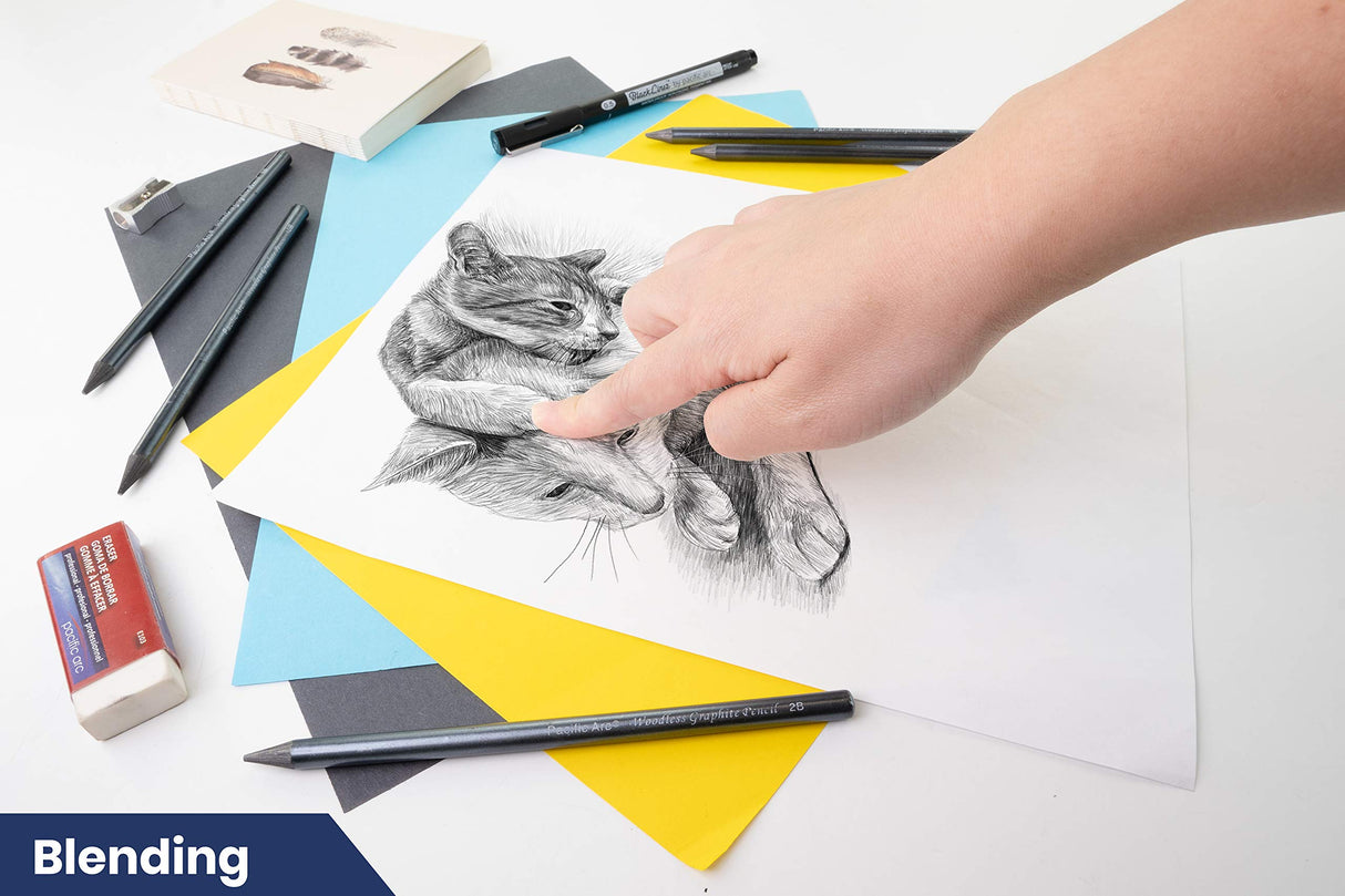 Pacific Arc Woodless Graphite Pencil 6 Pack Set, 12B, 10b, 8B, 6B, 4B, & 2B, for Sketching, Drawing, Coloring and Art Pacific Arc