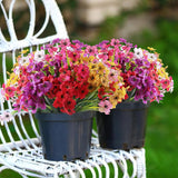 AGIRL 24 Bundles Artificial Flowers for Outdoor,No Fade Fake Plastic Flowers Faux Plants for Decoration Hanging Planters Indoor Outside Garden Porch Window Box Home Wedding Farmhouse AGIRL