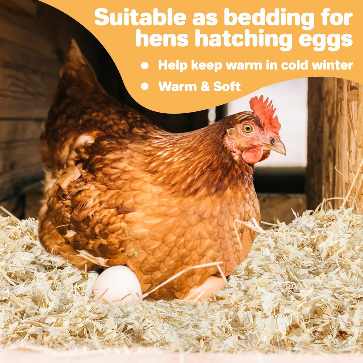 31OZ Sukh Chicken coop Bedding - Aspen shavings Animal Bedding as Chicken Supplies for Chicken House Bedding winterizing Nesting for Small pet Guinea Pig Rabbit Chinchilla Bird Gerbil Odor Control