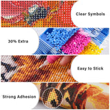 Lxmsja Abstract Poppies Diamond Art Kits for Adults, Flower Scenery DIY Full Drill Diamond Painting Kits for Beginners, 5D Gem Art Crafts for Adults, Home Wall Decor 12x16 inch Lxmsja