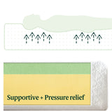 ZINUS 8 Inch Green Tea ActivFresh(R) Memory Foam Mattress, Twin, Mattress in A Box with Compact WONDERBOX Packaging, CertiPUR-US Certified Zinus