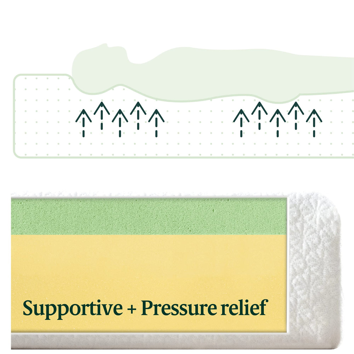 ZINUS 8 Inch Green Tea ActivFresh(R) Memory Foam Mattress, Full, Mattress in A Box with Compact WONDERBOX Packaging, CertiPUR-US Certified ZINUS