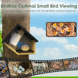 Birdkiss Smart Hummingbird House with Camera Solar Powered, 3MP HD Live View Birdhouse for Outside, Viewing Bird Nesting and Hatching, Ideal Outdoors Gift for Mom and Bird Lover (Black) Birdkiss