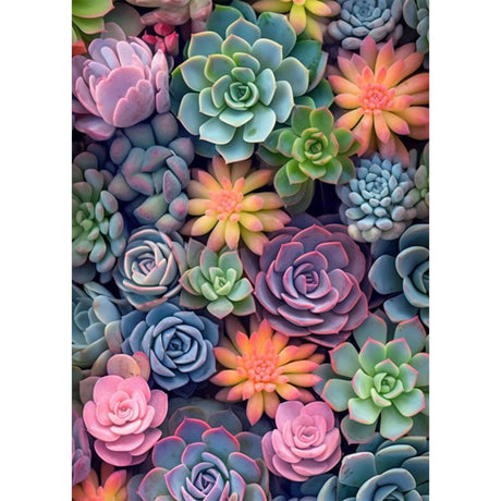 Ycydilirab Succulent Paint by Numbers Kits for Adults Beginners-Succulent Plant Paint by Number for Adult,Easy Canvas Paint by Numbers for Adults for Home Wall Decoration and Gifts 16X20 inch Ycydilirab
