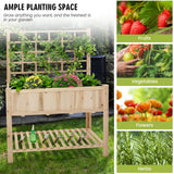 S AFSTAR Raised Garden Bed with Trellis, 48x23x63in Elevated Planter Box with Legs, Bottom Storage Shelf, Planter Liner, Wood Standing Planter Stand for Climbing Plants Flowers Vegetables Herbs S AFSTAR