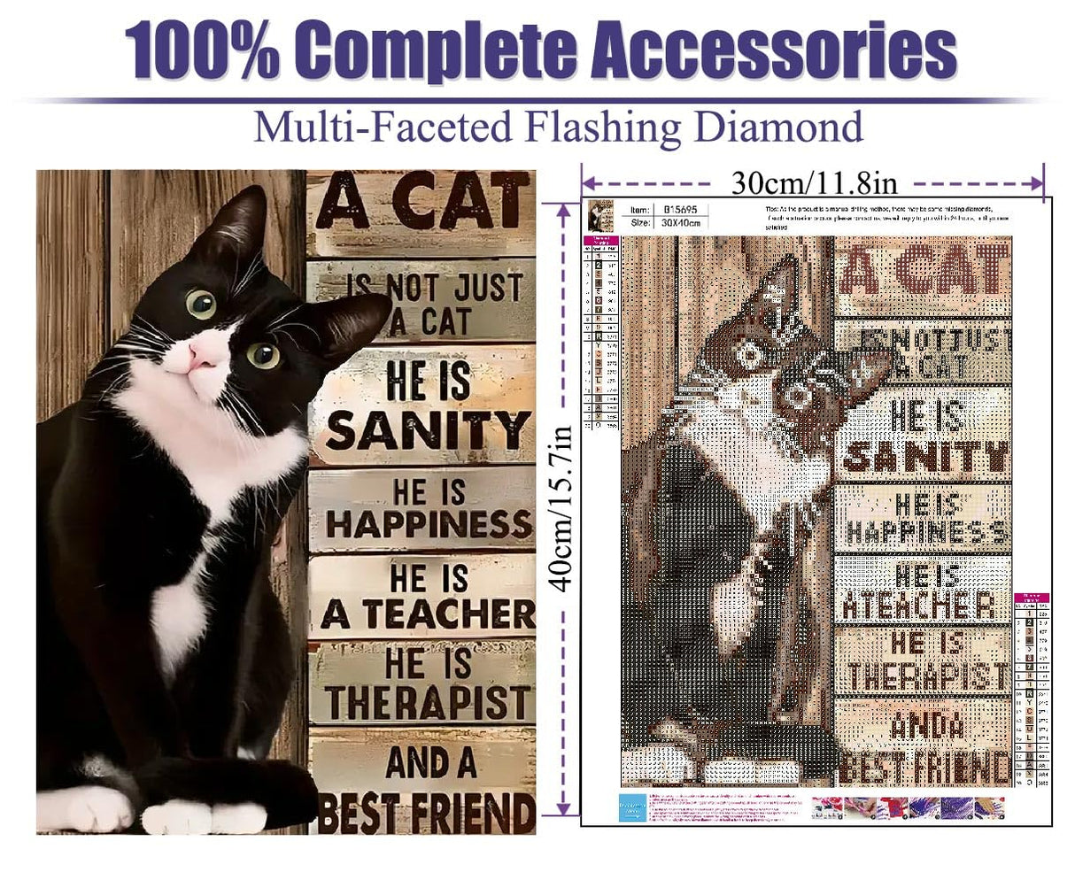 STGLCR 5D Cat Diamond Painting Kits for Adults,Diamond Art Cute Animal Inspirational Diamond Art Kits for Adults,DIY Full Round Drill Diamond Dots with Gem Arts for Home Wall Decor 16 X 12inch STGLCR