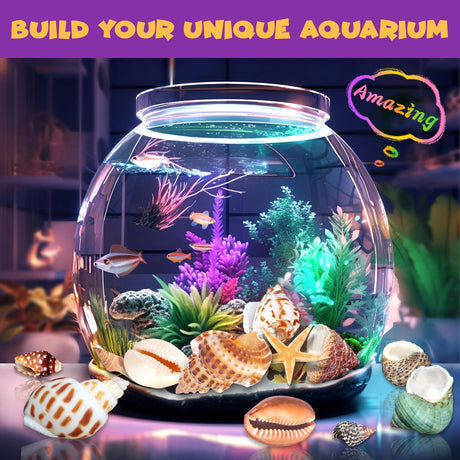 PIBEX Ocean Fossil Dig Kit, Dig up 20+ Real Shells & Seasnails, STEM Educational Activity Set Sea Creatures Excavation Toy for Kids, Marine Biology Geology Science Kit, Gift for Boys and Girls Age 6+ PIBEX