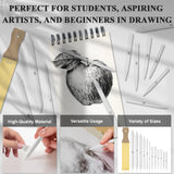 Aenir Blending Stumps for Drawing, Tortillons Blending Stumps Set of 13 Pack with Sandpaper Pencil Sharpener, Paper Art Blenders Tools for Charcoal, Graphite, Drawing Tools for Artists. (13) Aenir