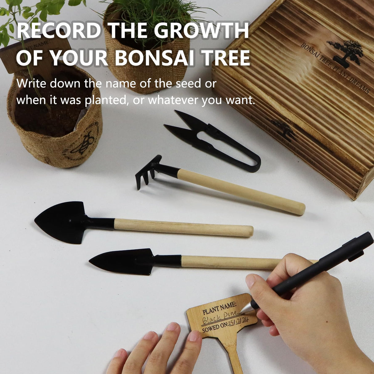 Bonsai Tree Kit – DIY Japanese Bonzai Trees with All-in-One Indoor Plant Growing Tools & Planters – Unique Gardening Gifts for Women, Men & Kids LUOJIBIE