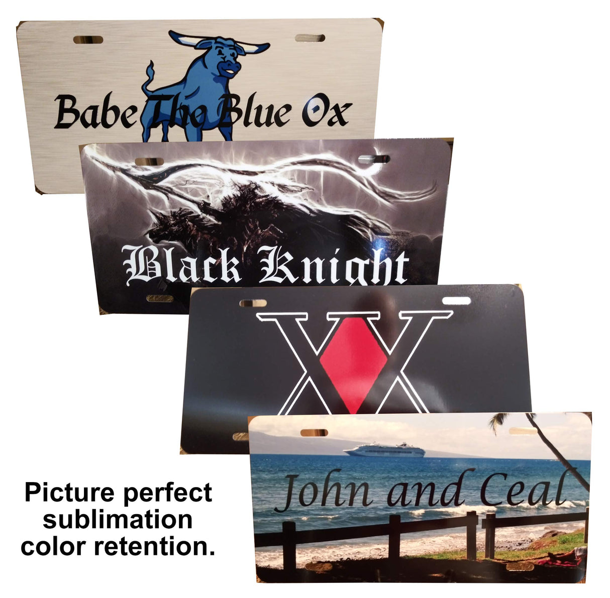 Blank Automobile (6 X 12) Aluminum License Plate for Sublimation or Vinyl Decoration (10) Carpe Diem Designs