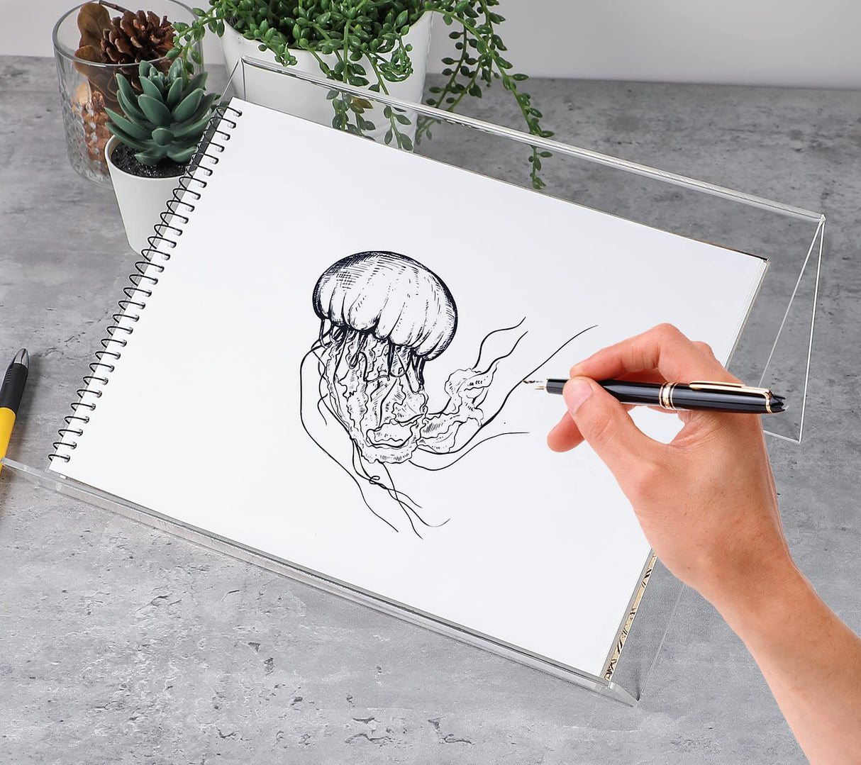 Kamehame Book Stands for Display, 2 Pack Slightly Elevated Clear Acrylic Book Display Stand with 1.5" Ledge, Book Easel Anti-slip Border for Handwriting Reading Art and Laptop, 12"x8.5"x5.1" Kamehame