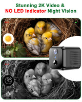 Smart Bird House Camera Solar Powered, 2K HD Wi-Fi Bird Watching Camera for Birdhouse, Auto Detect & Notify, Night Vision, APP Control, Wooden Birdhouse with Camera Inside KinetCam
